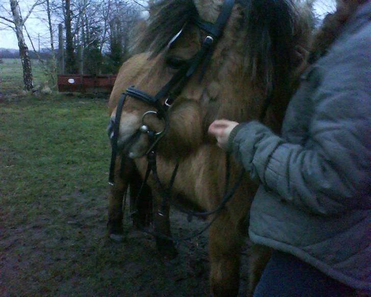 Anden særlig race Luna<3 (GL-part) - der har Luna set en farlig høne ;) billede 12