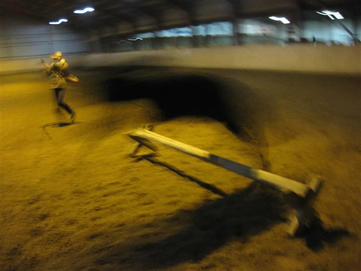 Dartmoor Jarrick - Okay, ved godt at man skal have fantasi for at se at det er en hest! s; -Men det ER Jarrick x)<3 billede 16