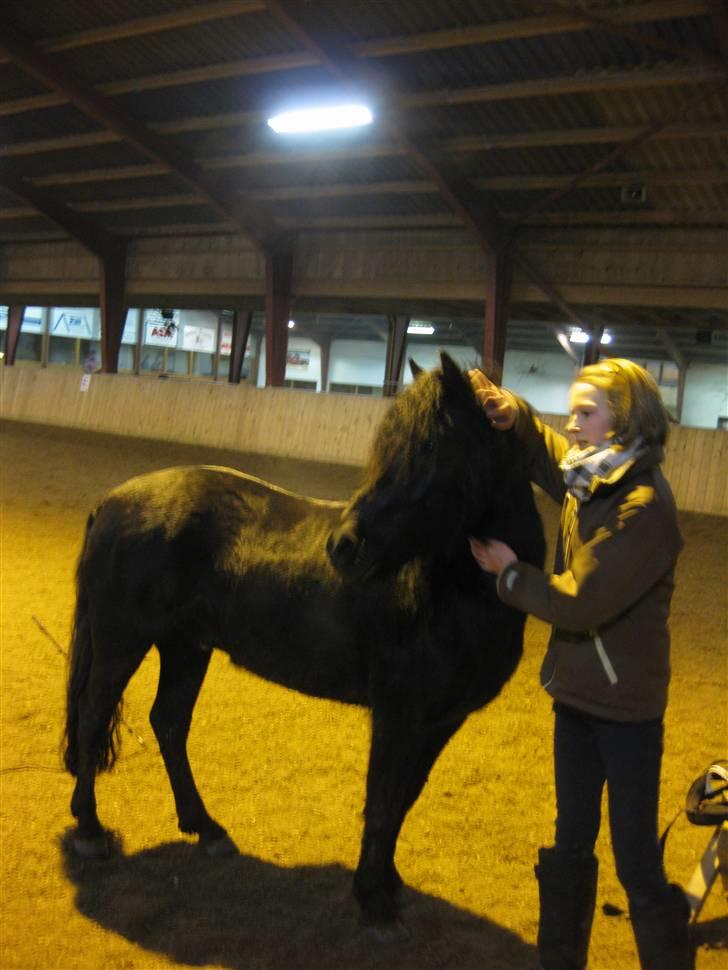 Dartmoor Jarrick - Hm, hvad har han nu fået øje på q; ? billede 19