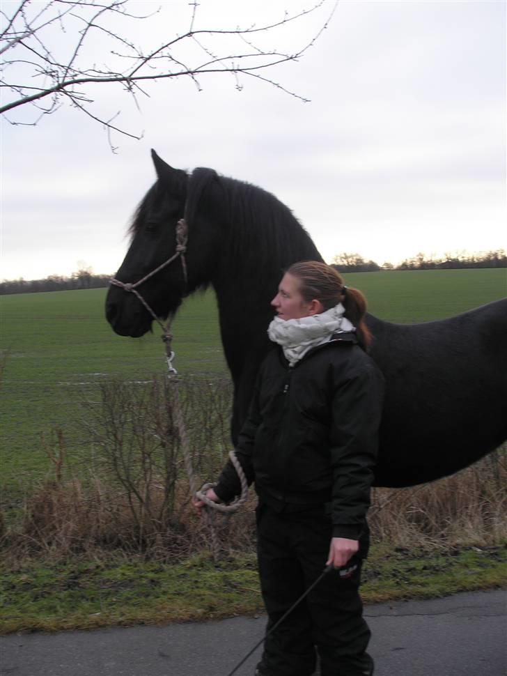 Frieser Wietske billede 10