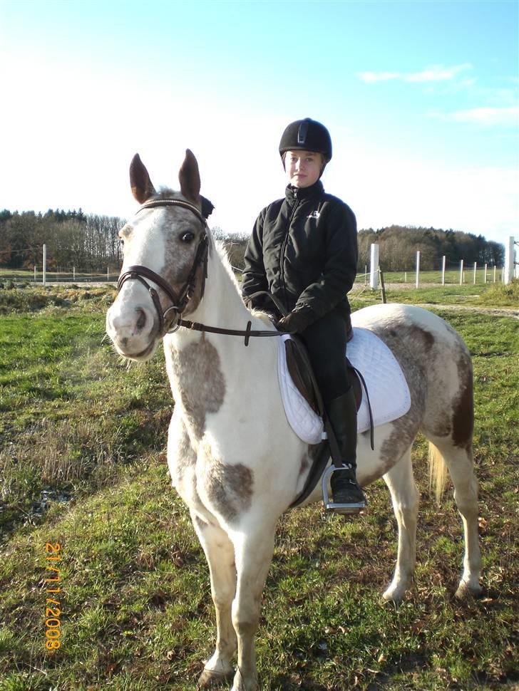 Pinto Mathilde - Mig og Mathilde billede 3