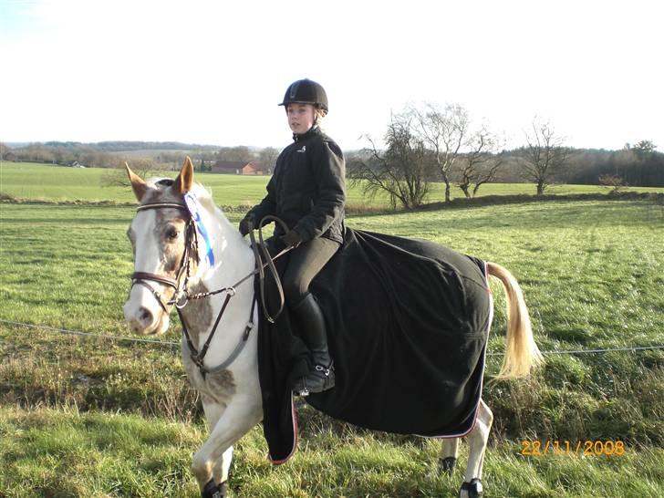 Pinto Mathilde - Mig og Mathilde billede 4