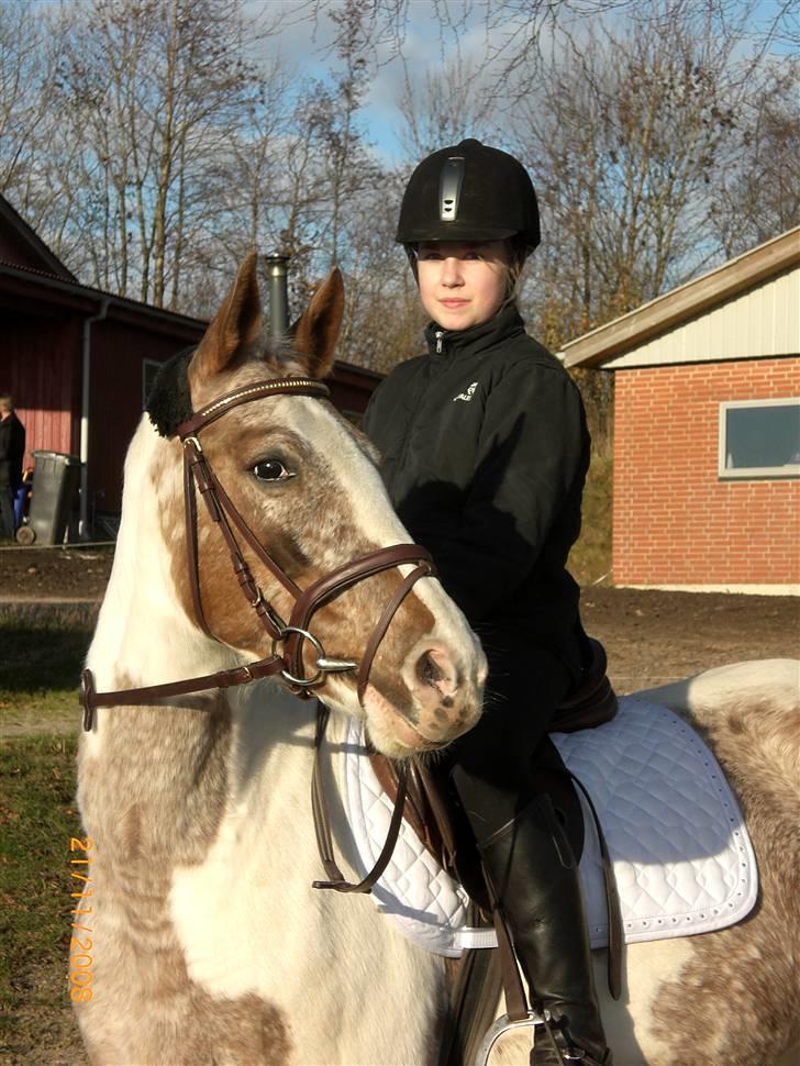 Pinto Mathilde - Mig og Mathilde billede 5