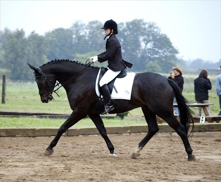 Dansk Varmblod Meningo - Uhh hadada,, det er hårdt at værer hest:o) billede 11