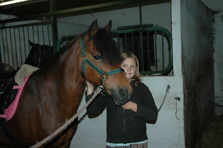 Anden særlig race Roxanne (solgt) billede 14
