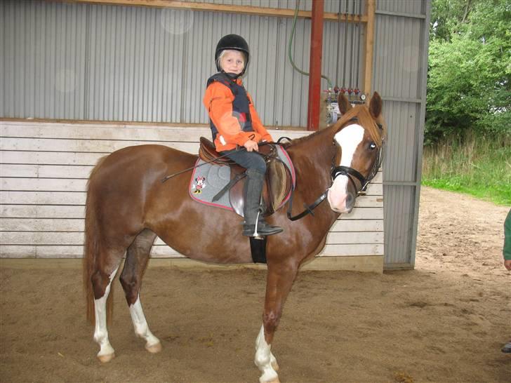 Anden særlig race Look at Me R.I.P Himmelhest - Looka  og  sofia - hun er  sød billede 2