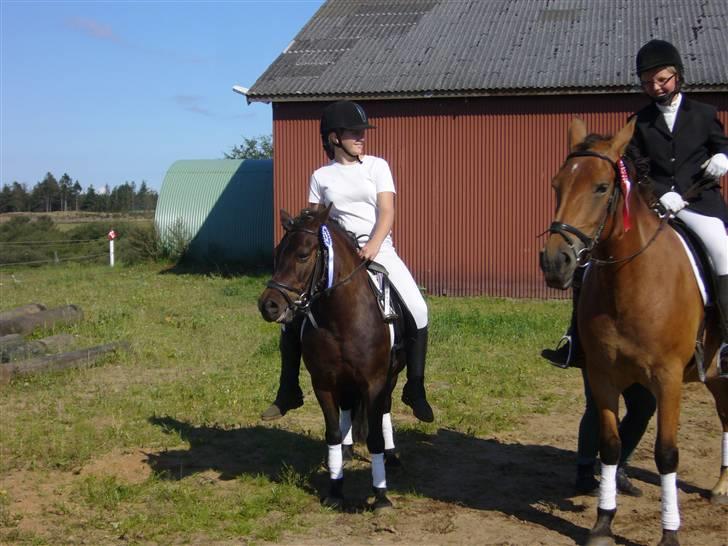 Anden særlig race Freja. - 2 plads i lc2. billede 8