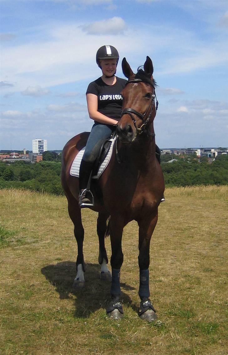 Holstener Carmen billede 1