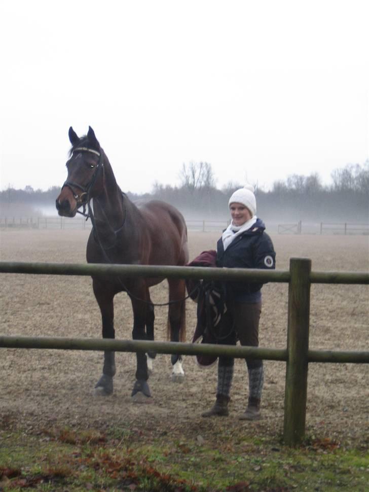 Holstener Carmen billede 2