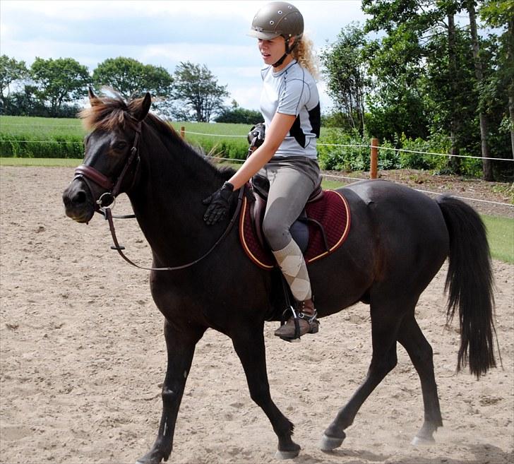 New Forest Cosmo spring pony - Søde Cosmo <3 billede 17
