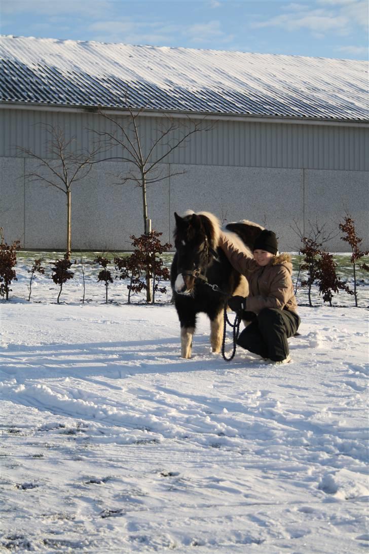 Anden særlig race Julie - Hun er sej den gutter pony. :´) <33 Foto Mor.  billede 1