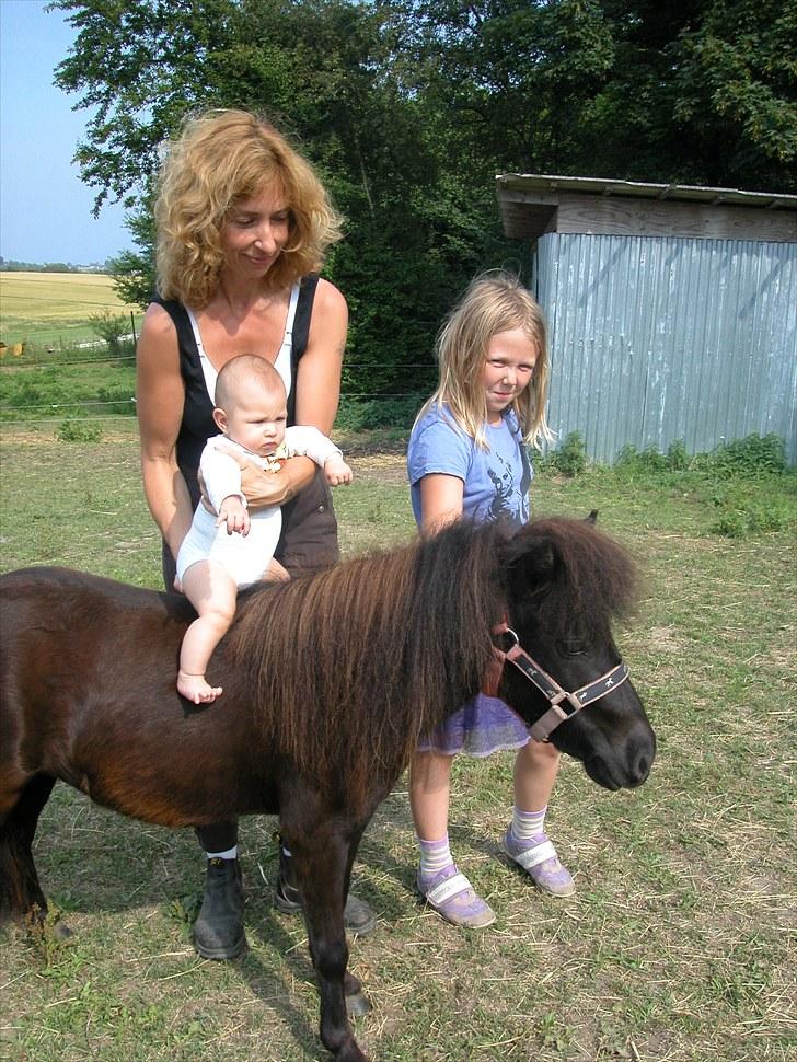Miniature *Lille Ronja* - min 3 mrd. gamle lillesøster sidder på lille ronja´s ryg, men min mor holder hende self. uder numsen(-:(sødt) billede 4