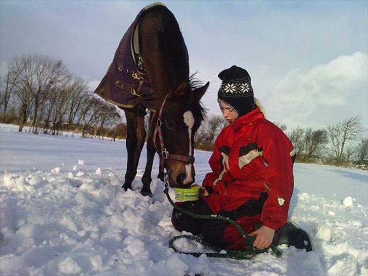 Anden særlig race FlyingSuprice A-pony - vinter 09 <3 billede 5