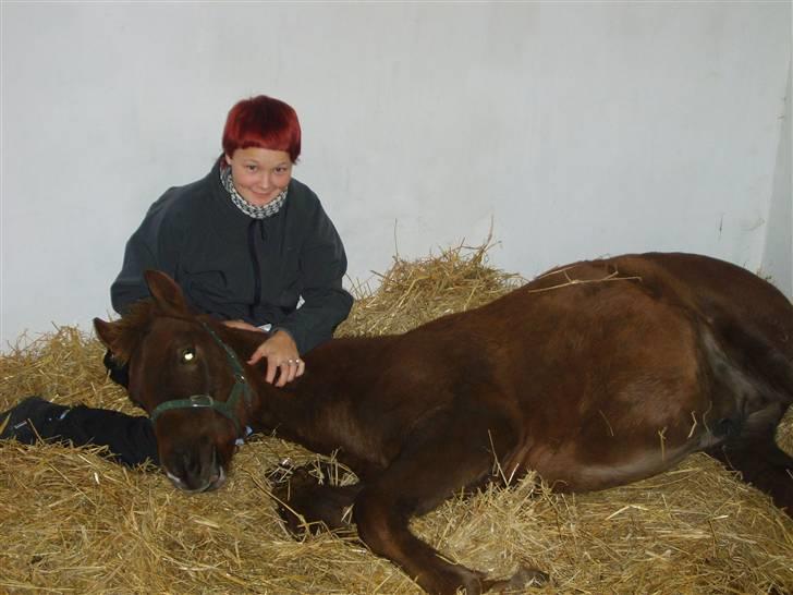 Anden særlig race Pugholm's Ferdinan - han er bare så tillidsfuld og kælen :D  billede 10