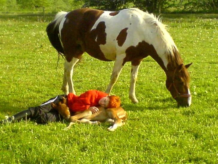 Anden særlig race Pugholm's Ferdinan - Gammelt, med mig og Mor(Fillizante) billede 17