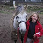 Anden særlig race bill (gamle halvpart)