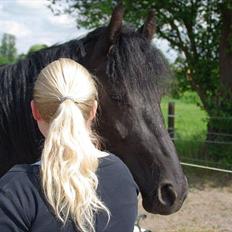 Frieser Annabell v.d. all blacks*Himmelhest*