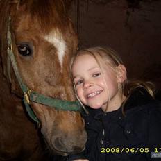 Anden særlig race Robin