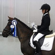 Gotlandsruss Tapan's Fagot ~A-Pony~ (solgt)