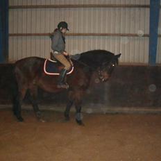 Hannoveraner Spencer R.I.P ):