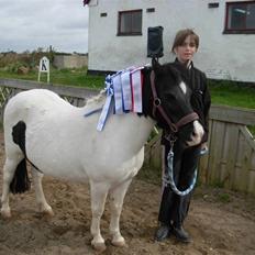 Anden særlig race Sussi (Hera)  * SOGLT * 