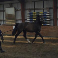 Oldenborg Granat Anholm  (SOLGT)