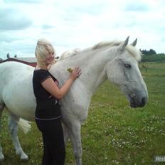 Anden særlig race Filur*Gl.Part*:'/(himmelhest)