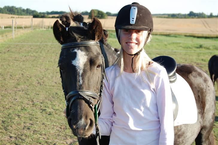 DSP Clements Himalaya *SOLGT* - taget af freja billede 18