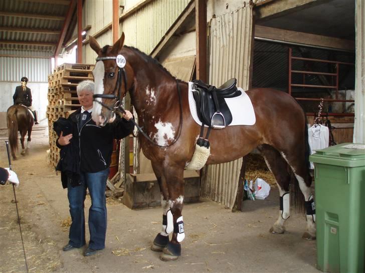 Hollandsk Varmblod Lisa - Lisa og min mor :) billede 7