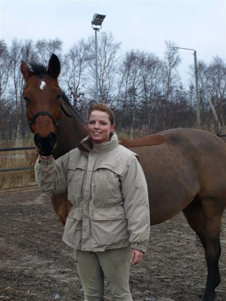 Dansk Varmblod Losell - Losse og jeg sammen billede 15