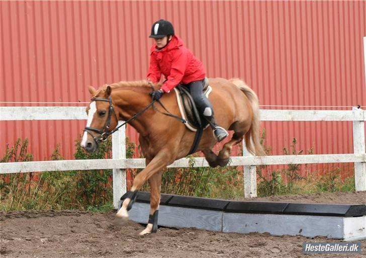 Anden særlig race o´malley<3<3 (miss you)  billede 11