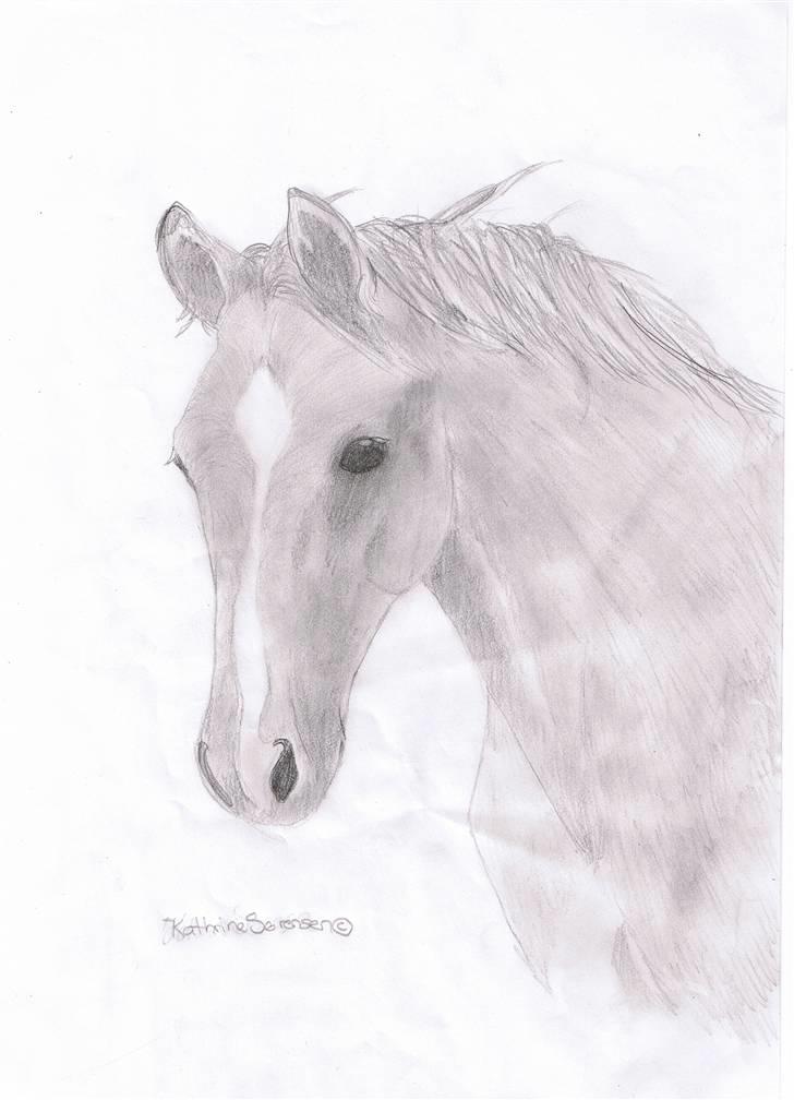 New Forest Birkilds Letizia - Tak til Kathrine for at bruge tid på at tegne dette flotte billede. billede 18