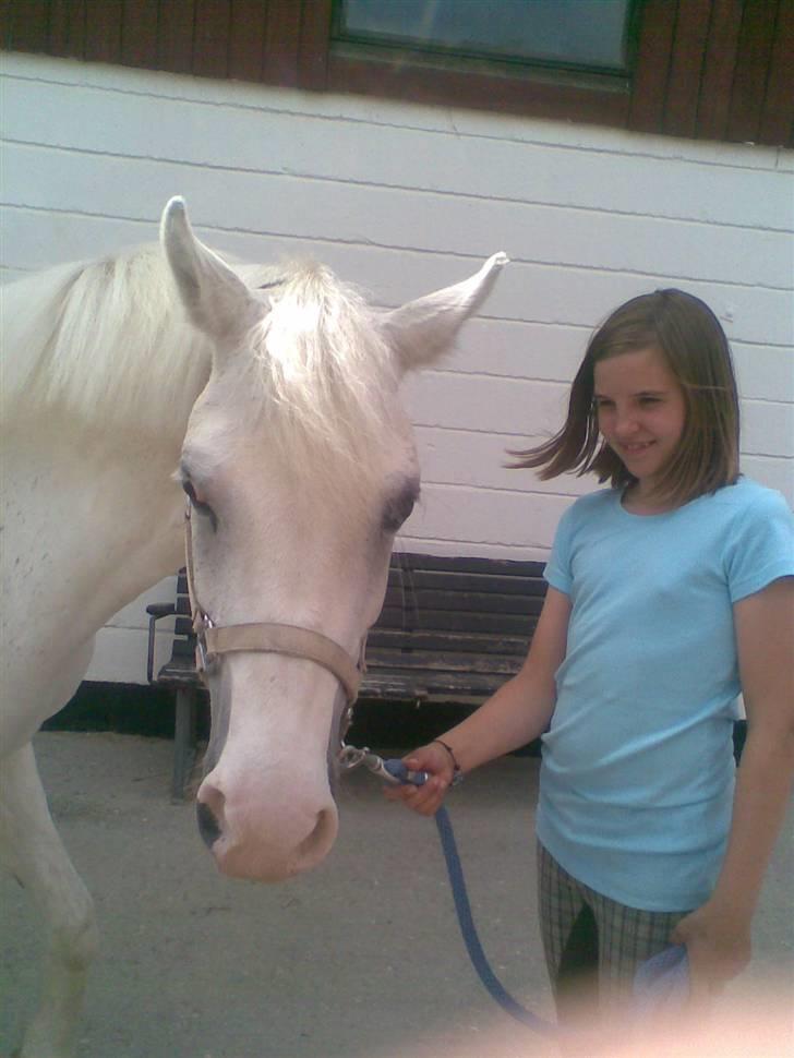 Anden særlig race Cindy billede 3