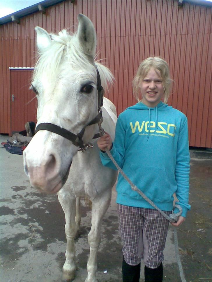 Anden særlig race Cindy billede 5