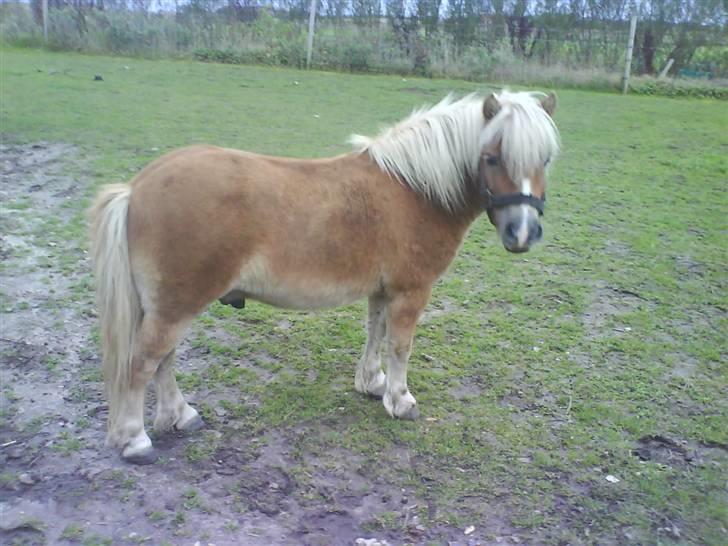 Anden særlig race Lukas<3 (solgt) - lukas  <3 billede 1