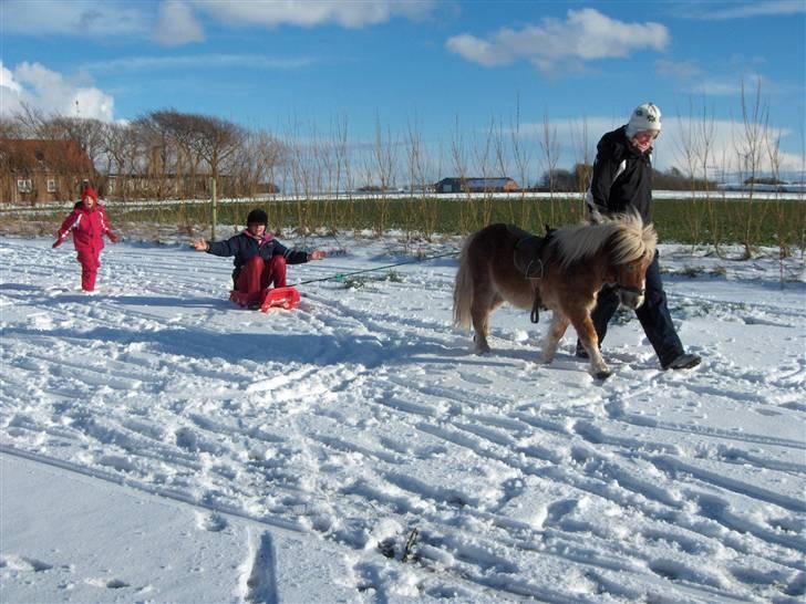 Anden særlig race Lukas<3 (solgt) billede 8