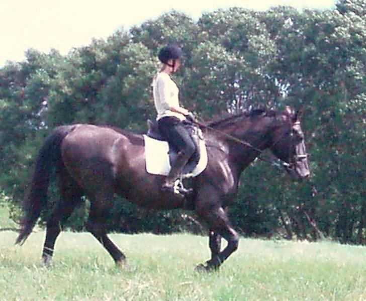 Oldenborg ¤  Madchen ¤   - 13-08-2008 billede 15