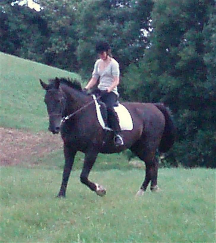 Oldenborg ¤  Madchen ¤   - 13-08-2008 billede 16