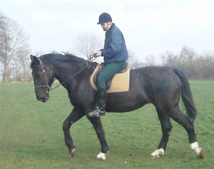 Oldenborg ¤  Madchen ¤   - 05-12-2008 billede 20