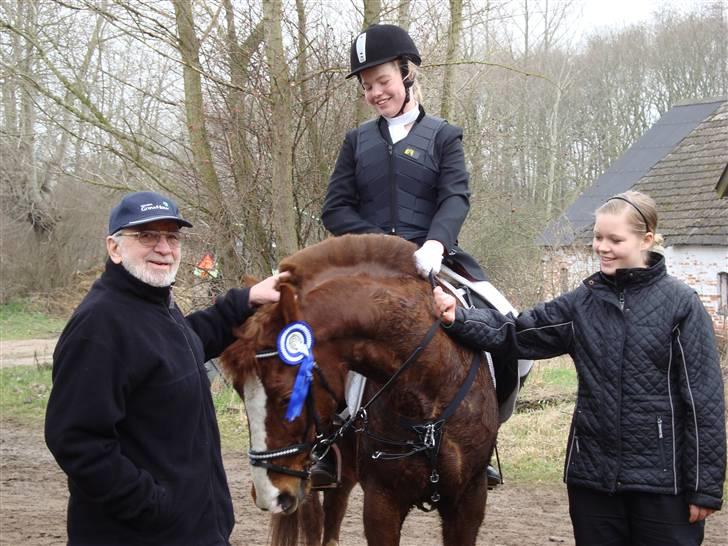 New Forest Hunter - farfar og Hunter lægger taktik billede 19