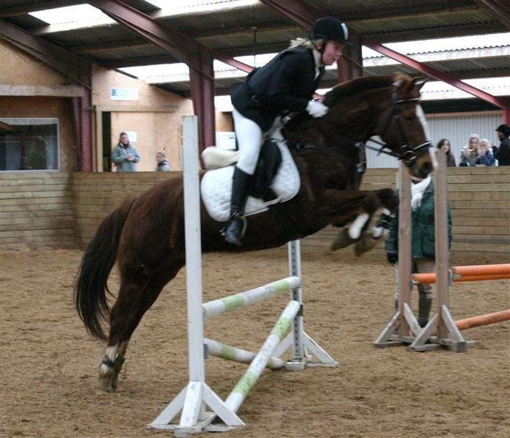 New Forest Hunter - i langesø billede 20