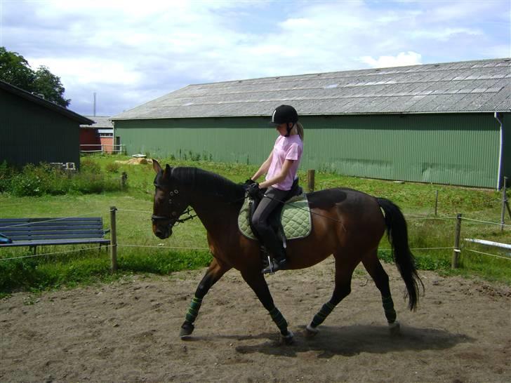 Anden særlig race Zanta - Det går fremad :) Foto: Pernille - den aller bedste fotograf!! billede 8