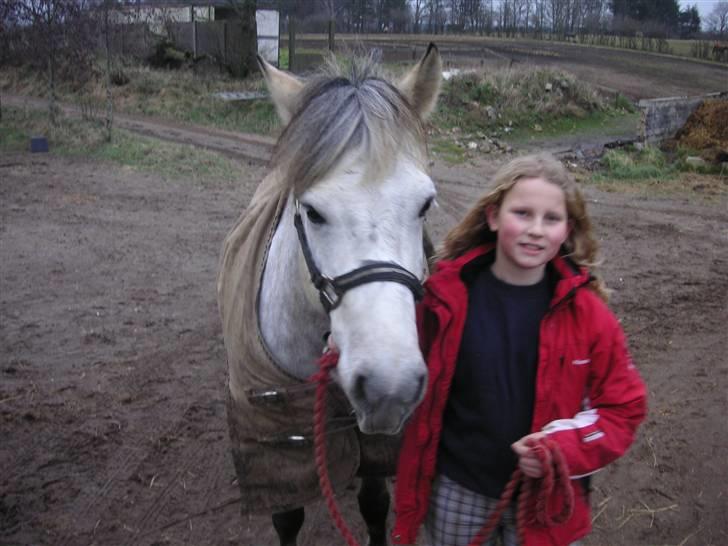 Anden særlig race bill (gamle halvpart) billede 4