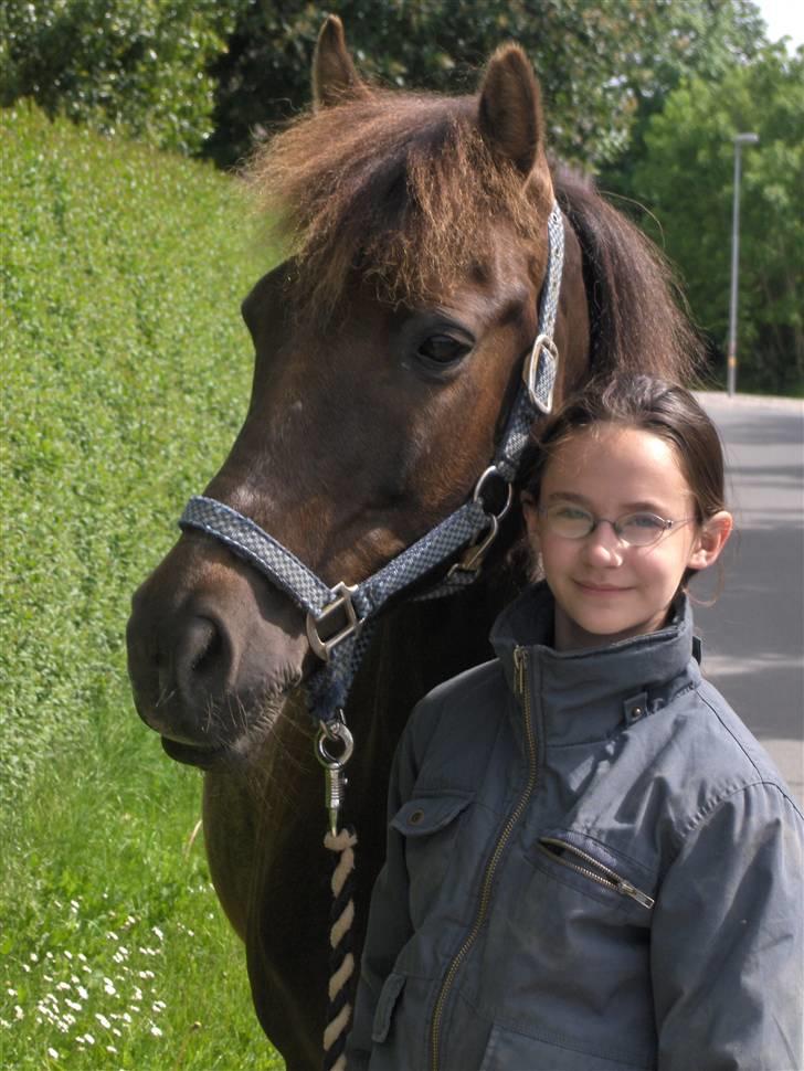 New Forest Ækpara billede 13