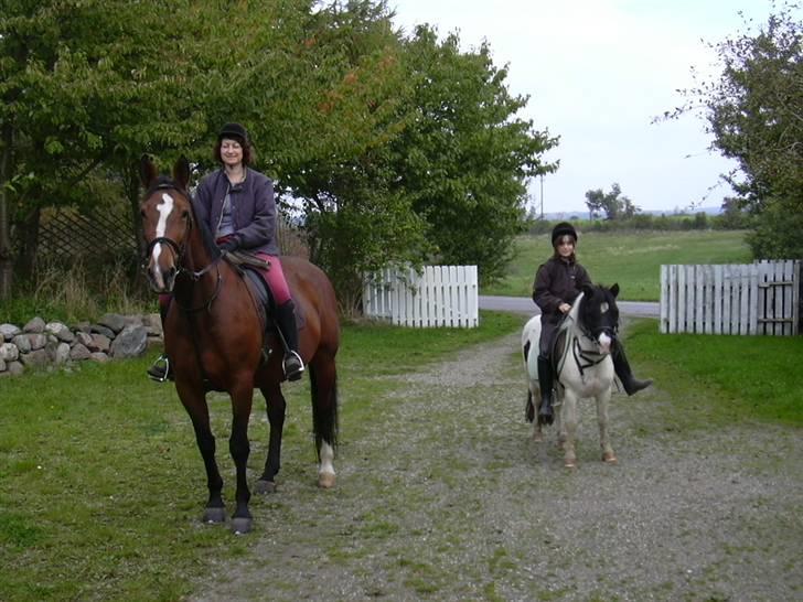 Anden særlig race Sussi (Hera)  * SOGLT *  - NU kan vi slappe af :-) billede 4