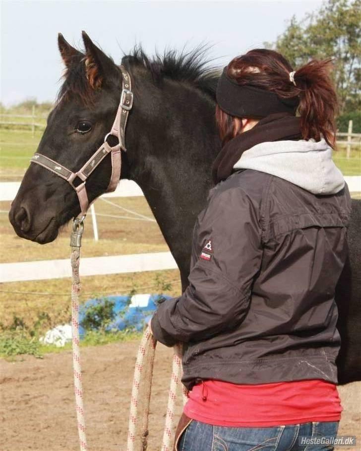 Frieser Chavel billede 11