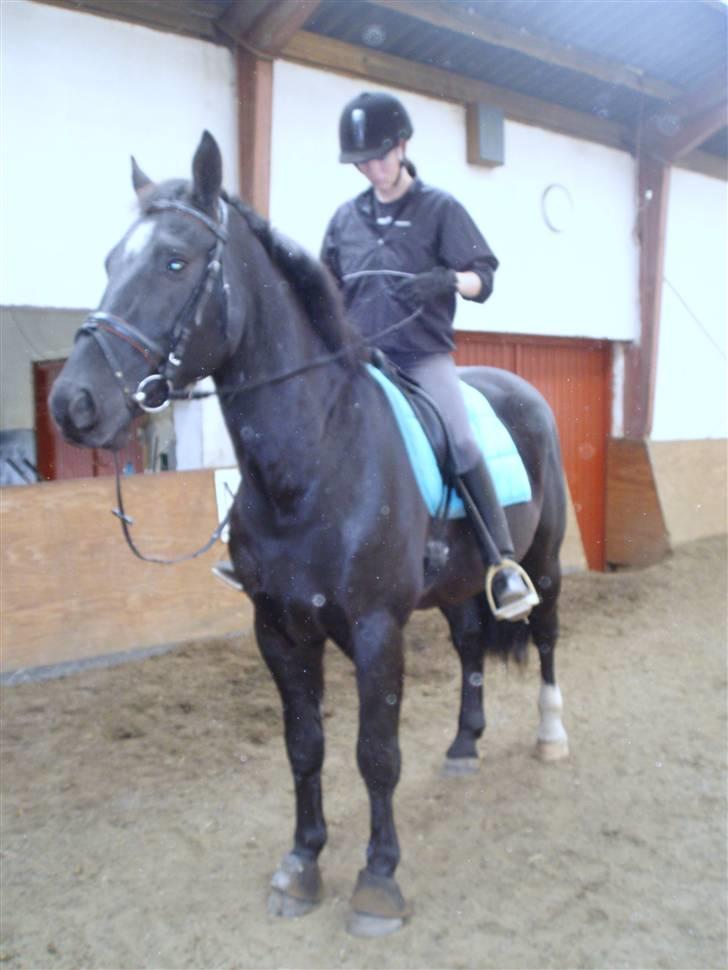 Oldenborg Granat Anholm  (SOLGT) - Granat og jeg :D billede 5