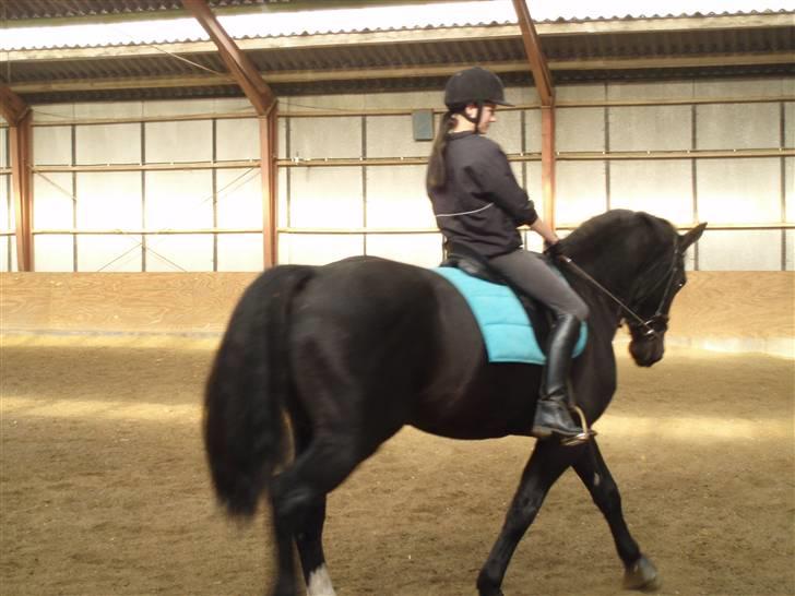 Oldenborg Granat Anholm  (SOLGT) - En lidt for skæv vinkel billedet er blevet taget i. billede 6