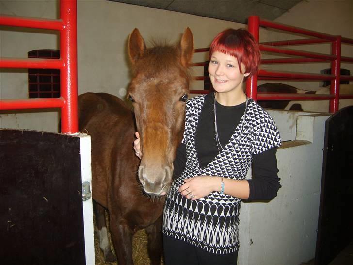 Anden særlig race Pugholm's Ferdinan -  yay. nutted hest :D billede 12