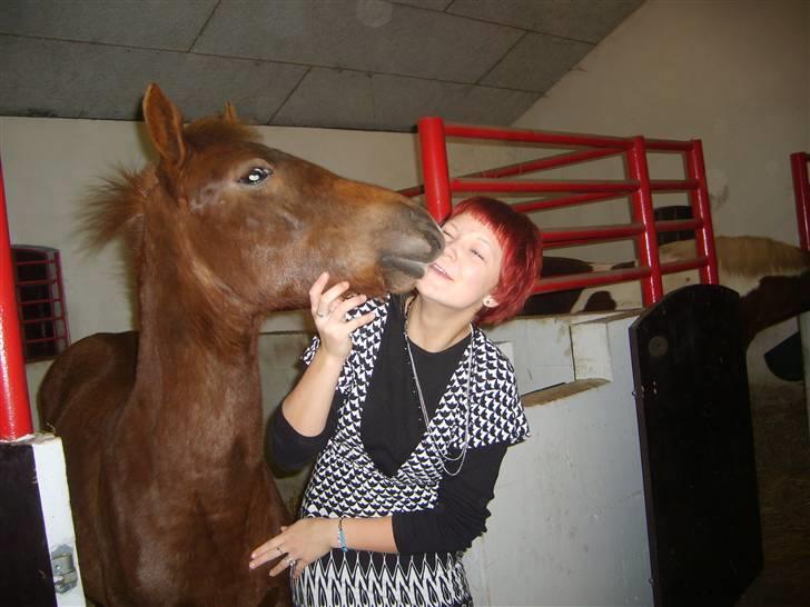 Anden særlig race Pugholm's Ferdinan - han er så kontaktsøgende, det er sødt :D billede 11